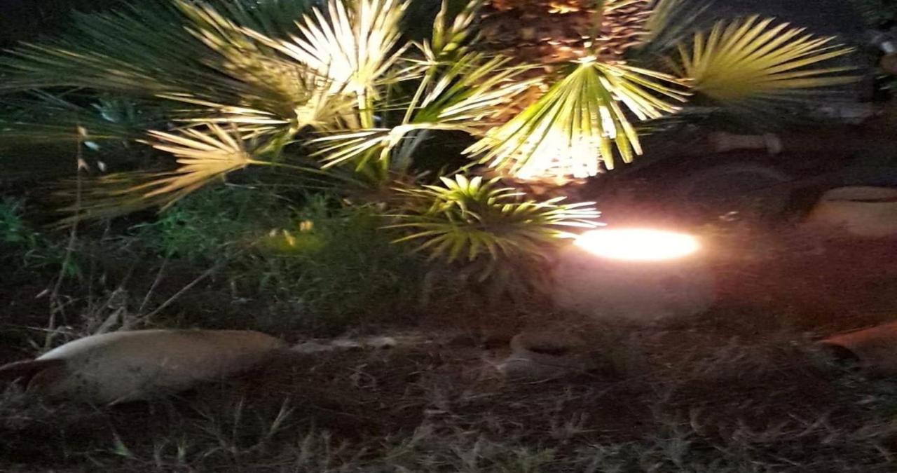 Le Due Palme Hotel Marsala Buitenkant foto